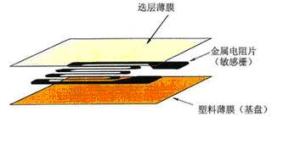 電阻應變片的基本結(jié)構(gòu)